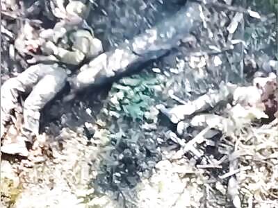 Eternal Demobilization of Mykolas & Stepans from AFU