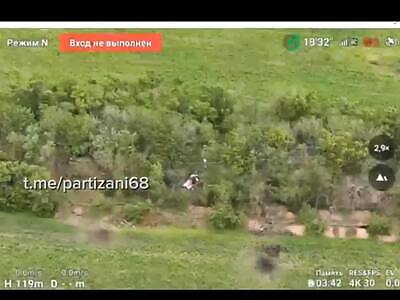 Russian Partisans Kill AFU