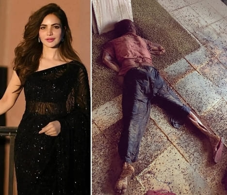 Pakistani Actress Found Dead In Her Flat