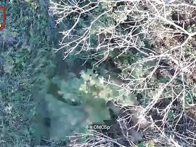 Eternal demobilization of Ukrainians 