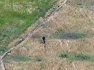 Dead Russians comp II (July 13, 2025)