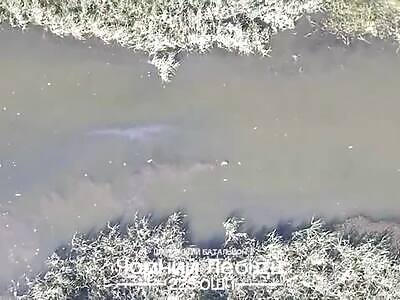 Dead Russians comp III (July 17, 2025)