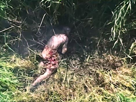 Swampy Solider Suffers Agonizing & Violent Death 