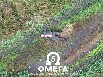 Dead russians everywhere