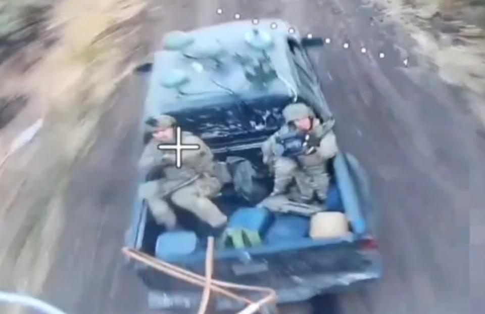 Do you think they survived? 