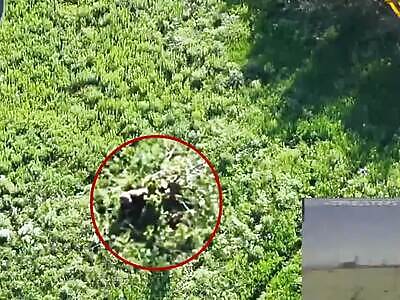 Dead Russians comp (July 18, 2025)