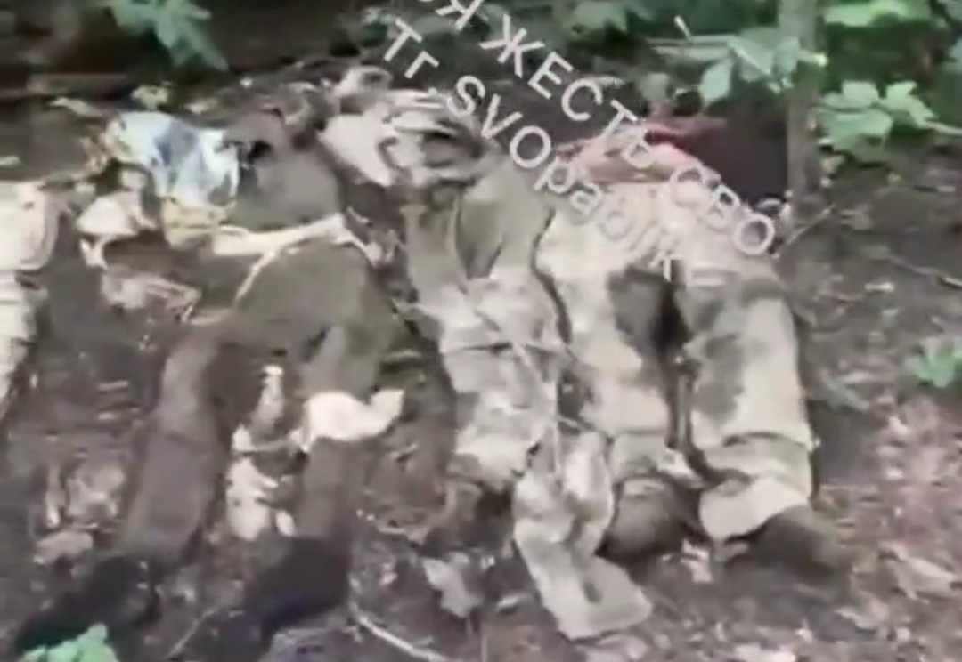 Several Ukrainian bodies abandoned by the AFU. 