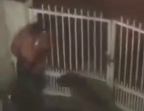 Brazilian man mauled by his own pitbull 