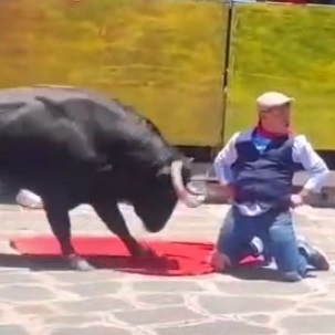 Asshole Has Painful Encounter With A Bull In Mexico