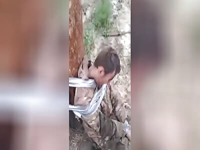 Russians tied to tree and beat