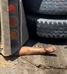 Several Died After Truck Crashed Into Bikers