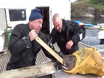 In Russia The Fish Catch You!