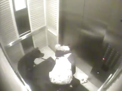 Dog Leashes and Elevators Don't Mix