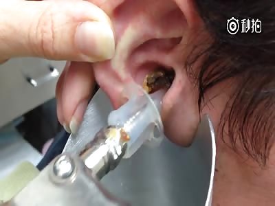 fucking gross don't blame me 