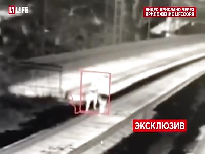 Rapist kills a girl caught on tape 