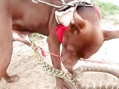 Dog having a bad day 