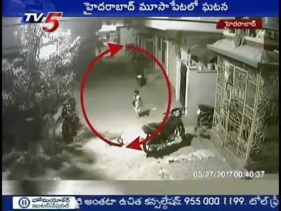 Boy Escapes From Dogs Attack 