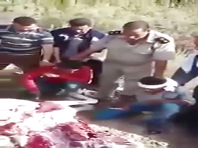 Egyptian police bust butcher over donkey meat