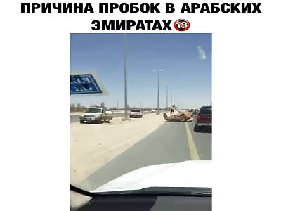 sex in middle of the street in saudia -18