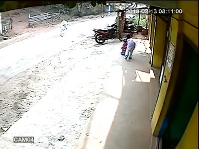 Girl saved her toddler brother from being gored by a COW