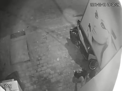 Dog Kidnapping Attempt Caught on Camera