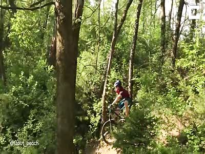 Unlucky Cyclist Crashes Into Tree And Knocks It Down