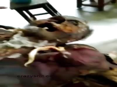 WEIRD MORGUE CLIENTS