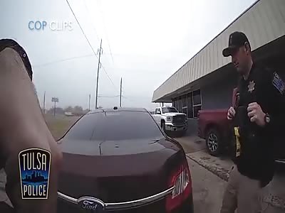 Drive of Stolen Car flees, then arrested