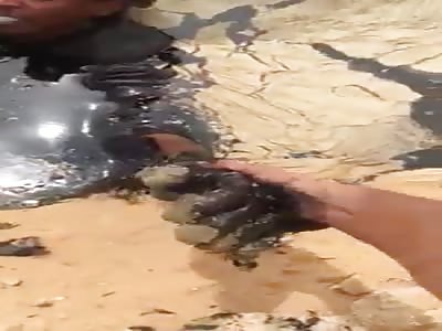 Shepherd swallowed into fuel in the middle of the desert