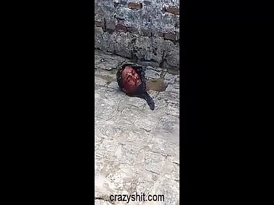 THING YOU CAN FIND IN STREETS OF BRAZIL