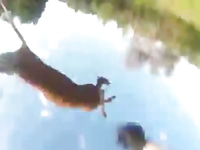 Beep beep mother fuckers.....