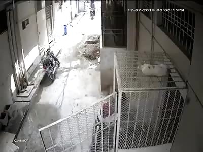 Not this time robbers