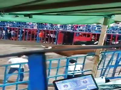 Angry bull vs twelve year old boy.