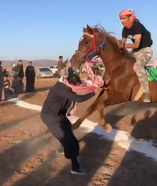  Horses Don't Care About You