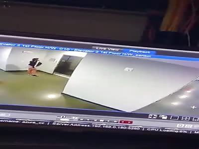 Girl Not Paying Attention Almost Got This Dog Killed!