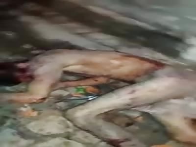 Brutal Aftermath of Punished Thief