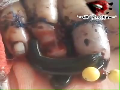 WTF Did I Just Watch !!!!!