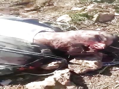 Syrian pilot killed by Turkish army in Syria 