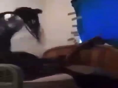 Black woman beat the shit of side bitch