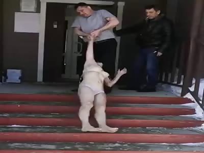 Just a Normal Day in Russia 2