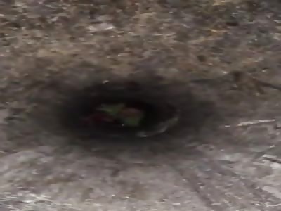 LOL...They Still Can Save Him