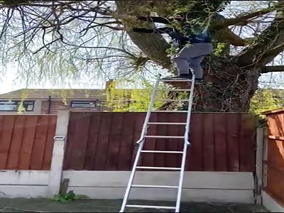 Asshole break some bones after falling from tree 