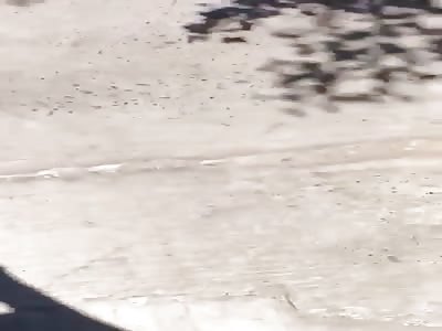 Wtf happened to this world 