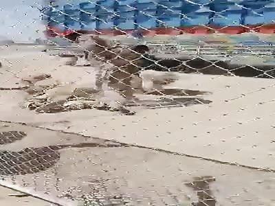 Afghan border patrol agents beating old man 