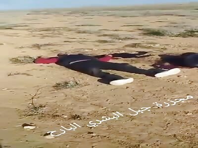 Bodies of farmers executed by iranian militia in Aleppo Syria