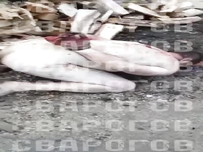 Russian drug dealer tortured to death two Armenian and berned the bodi