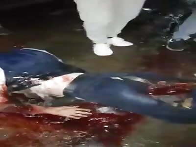 (1) two Palestinians killed by Israeli airstrike 