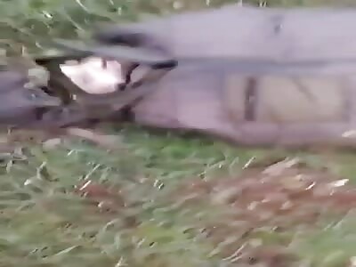 Ukranian soldiers showing dead Russians, weapons and munitions seized 