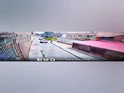 car runs over a girl who was playing with her pet