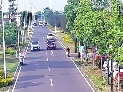 Little girl crossing street killed by speeding car 